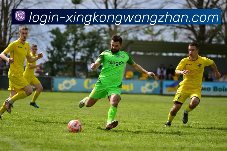 星空体育网站发展历程